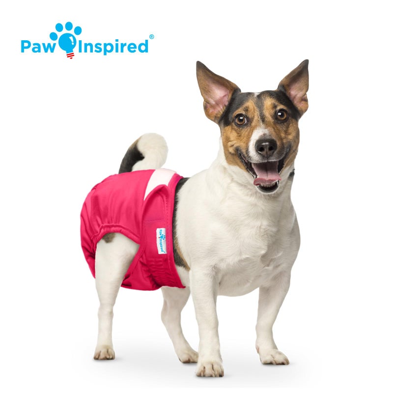 Paw Inspired Washable Reusable Dog Diapers Female, Cloth Dog Diapers, Dogs in Heat, Dog Incontinence (Assorted (White Lining), Small (3 Ct.)) - Image 5